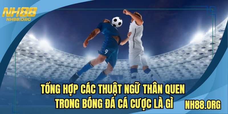 Tổng hợp các thuật ngữ thân quen trong bóng đá cá cược là gì