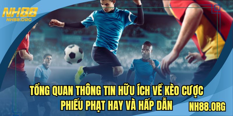 Quan sát và phân tích lịch sử thi đấu về kèo đồng banh tại nhà cái
