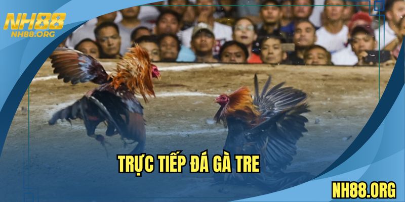 Truc-tiep-da-ga-tre