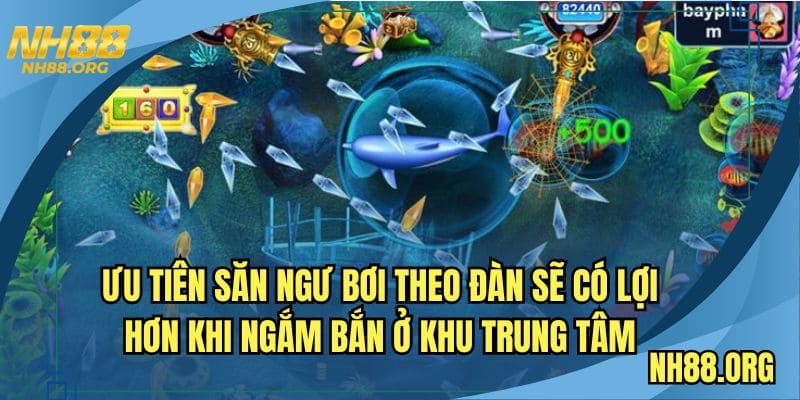 Ưu tiên săn ngư bơi theo đàn sẽ có lợi hơn khi ngắm bắn ở khu trung tâm